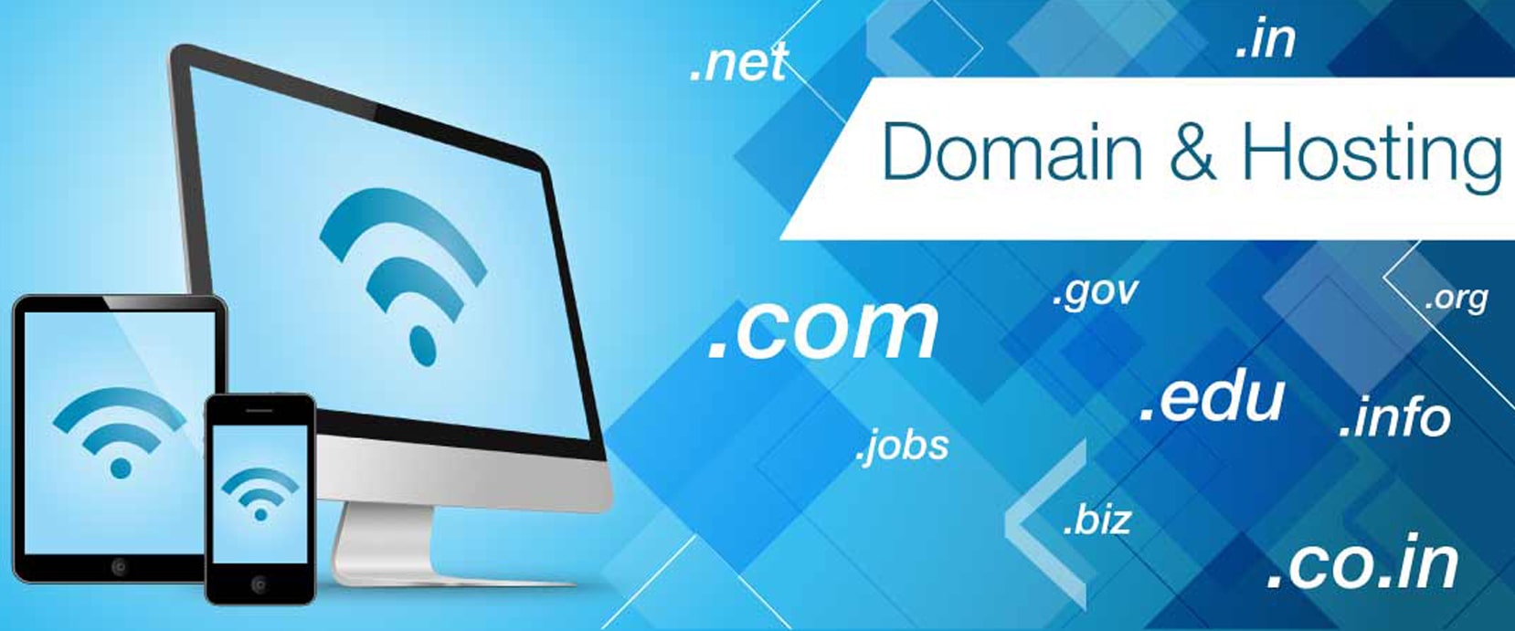 Web Hosting & Domain